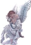 Angels & Fairies Oil