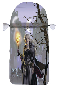 Witches Moon Satin Tarot Bag - Click Image to Close