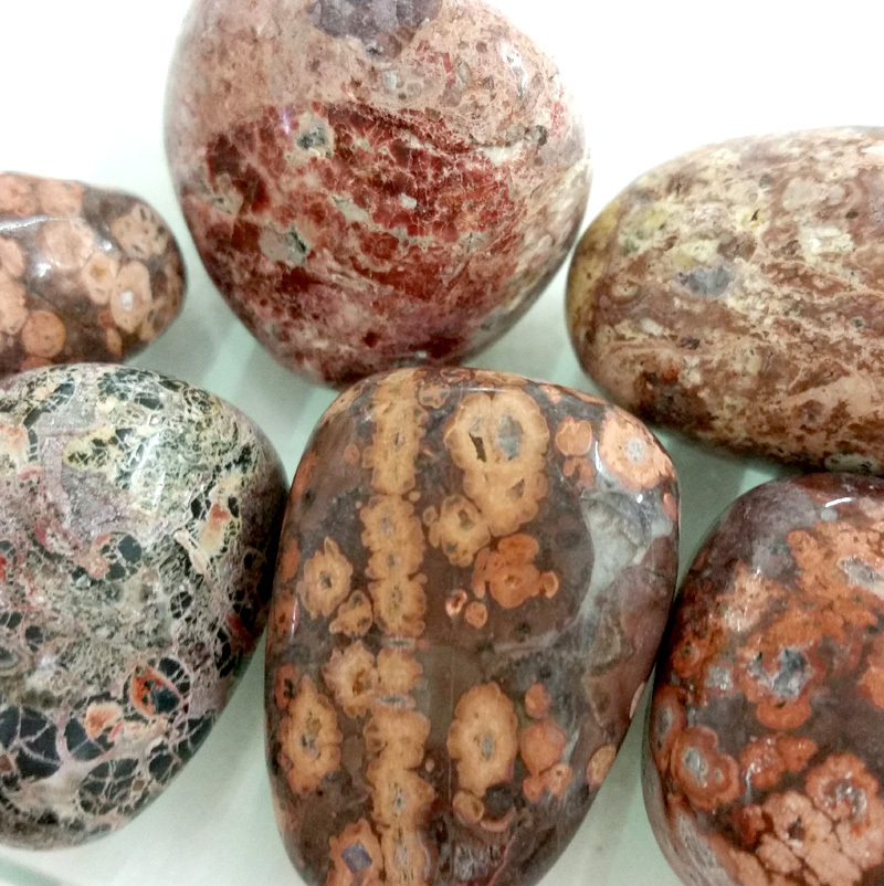 Leopard Skin Jasper - Click Image to Close