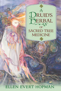 A Druid's Herbal of Sacred Tree Medicine - Click Image to Close