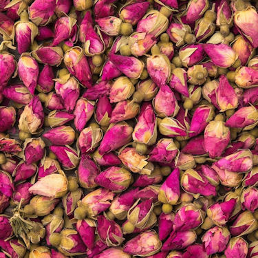 Rose Buds