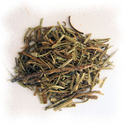 Yerba Santa (Mountain Balm)